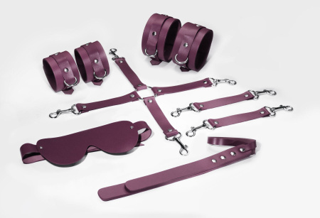 фото Набор Feral Feelings BDSM Kit 5 Burgundy, наручники, поножи, коннектор, маска, паддл SO8274