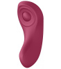фото Satisfyer Partner Box 1 (Double Joy + Sexy Secret)  || фото Satisfyer Partner Box 1 (Double Joy + Sexy Secret) 