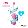 фото Набор вагинальных шариков для продвинутых FeelzToys - FemmeFit Advanced Pelvic Muscle Training Set  || фото Набір вагінальних кульок для просунутих FeelzToys - FemmeFit Advanced Pelvic Muscle Training Set 