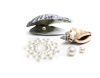 фото Пэстис из кристаллов Bijoux Indiscrets - Mimi Pearl, украшение на грудь  || фото Пестіс з кристалів Bijoux Indiscrets - Mimi Pearl, прикраса на груди 