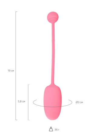 фото Смарт-тренажер Кегеля для женщин Magic Motion Kegel Coach  || фото Смарт-тренажер Кегеля для жінок Magic Motion Kegel Coach 