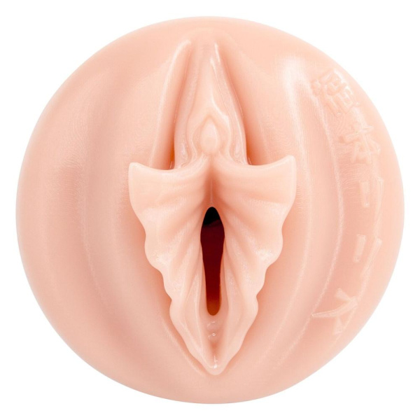 купить Мастурбатор Fleshlight Fantasy Lilith Fukumoto Shokushu, очень нежный, фэнтезийный канал