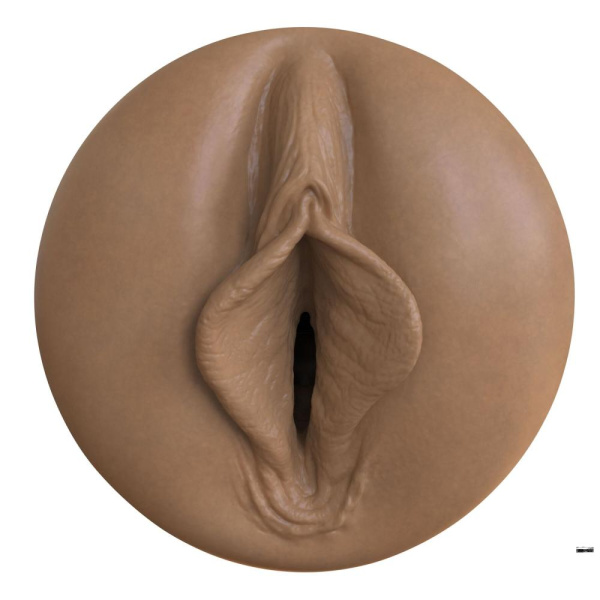 купить Мастурбатор-вагина Fleshlight Boost Bang Medium Dark Flesh, плавающие кольца Turbo Tech