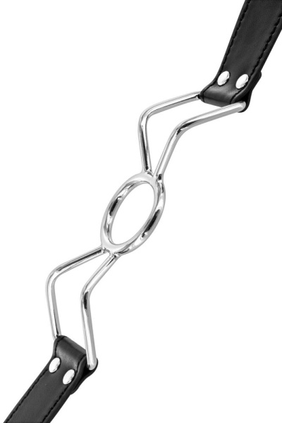 купить Кляп с кольцом Fetish Tentation Spider Gag