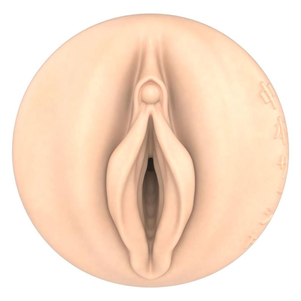 купить Мастурбатор Fleshlight Fantasy Sasha Nakamoto Ecchi, очень нежный, канал-тентакли