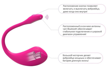 фото Смарт-виброяйцо Lovense Lush 2  || фото Смарт-віброяйце Lovense Lush 2 