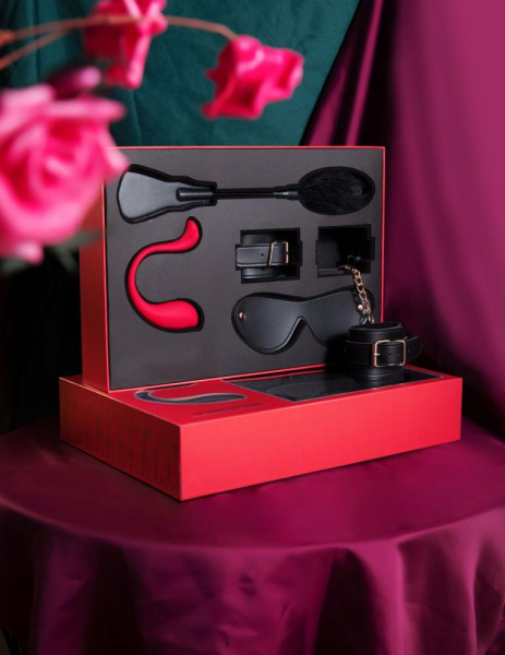 купить Премиальный подарочный набор для нее Svakom Limited Gift Box с интерактивной игрушкой