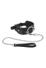 фото Ошейник с большим кольцом и с поводком Fetish Tentation Ring and Leash  || фото Нашийник з повідцем Fetish Tentation Ring and Leash 