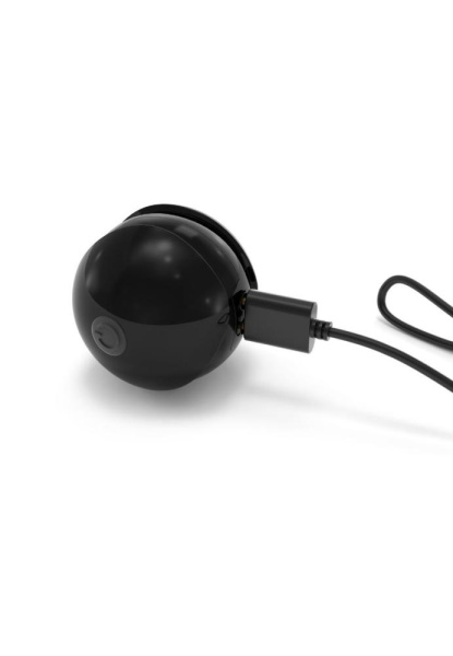 купить Набор вагинальных шариков Dorcel Training Balls, диам. 3,4см, вес 20-117гр, есть вибрация, пульт ДУ